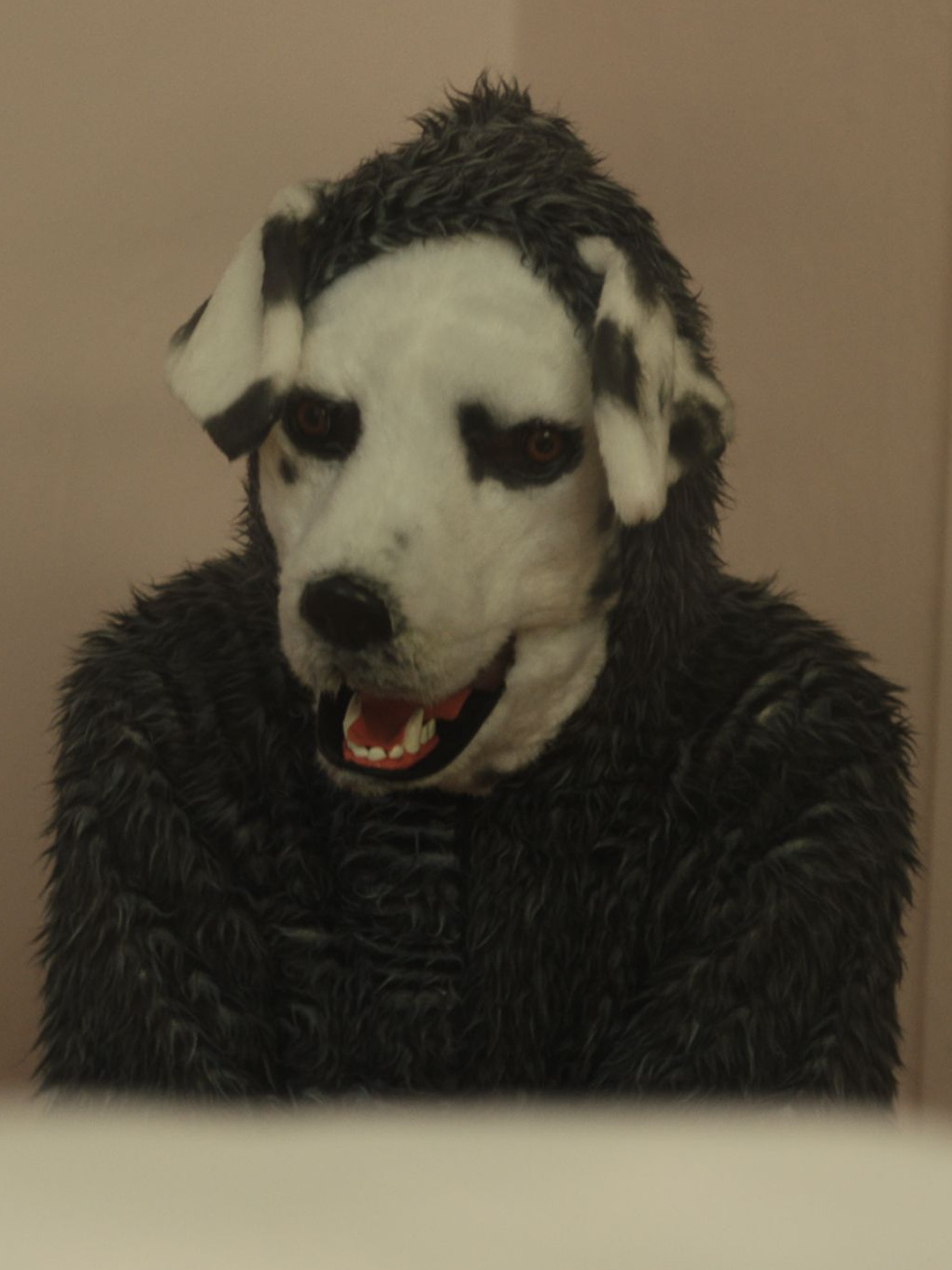 Good Boy, 2022